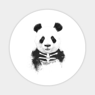 Zombie panda Magnet